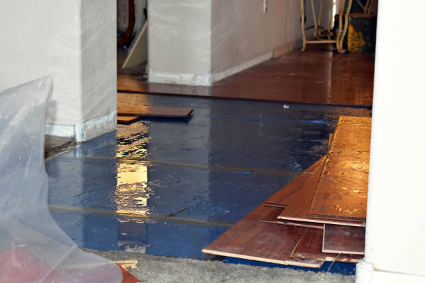 Professional Burst Pipe Cleanup technician working in Aquebogue, NY